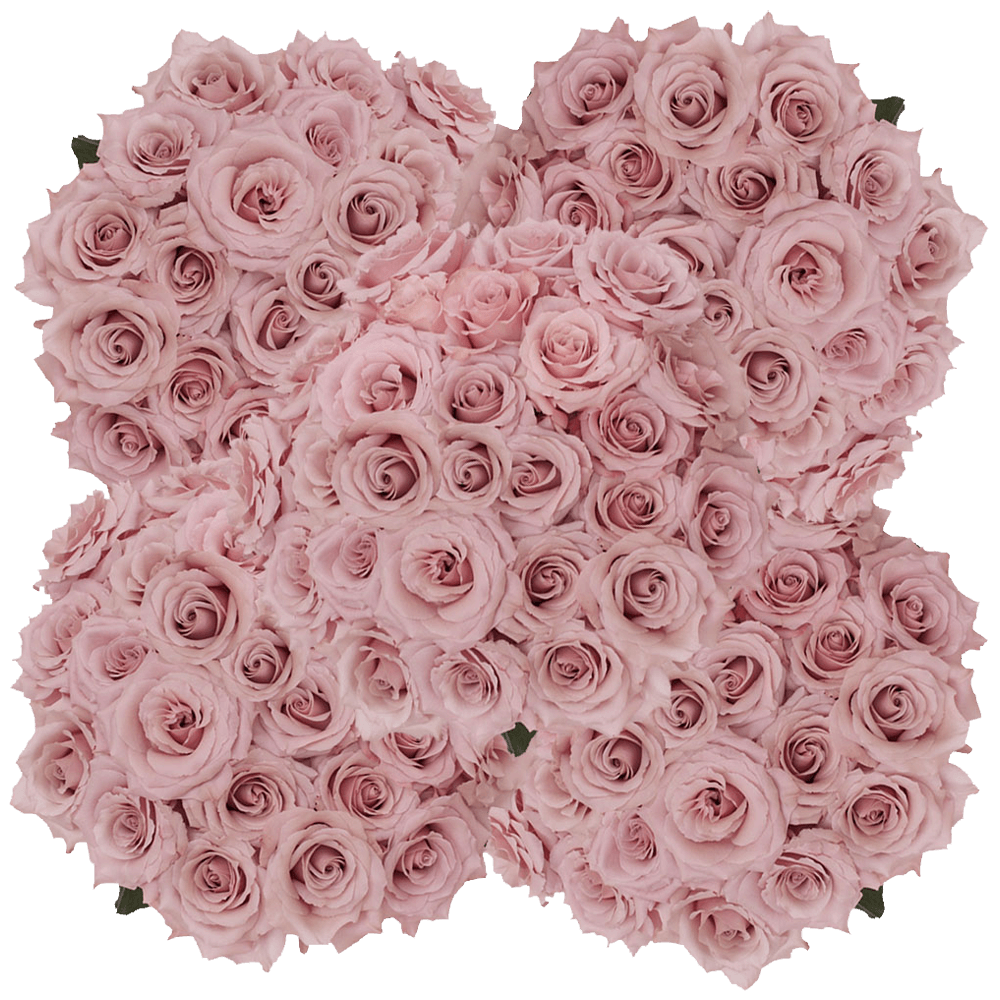 200 Stems of Cream Quicksand Roses