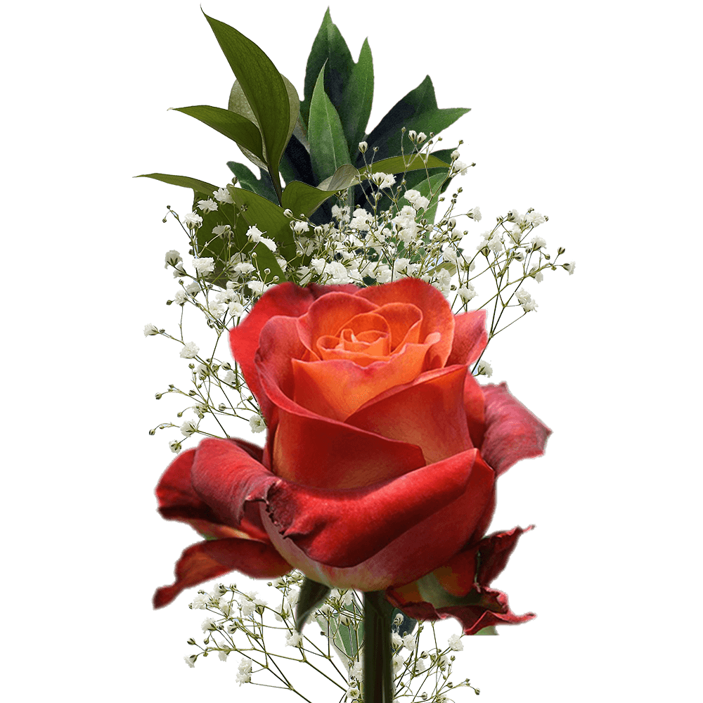 Assorted Color Roses Greenery Bouquets Individually Wrapped
