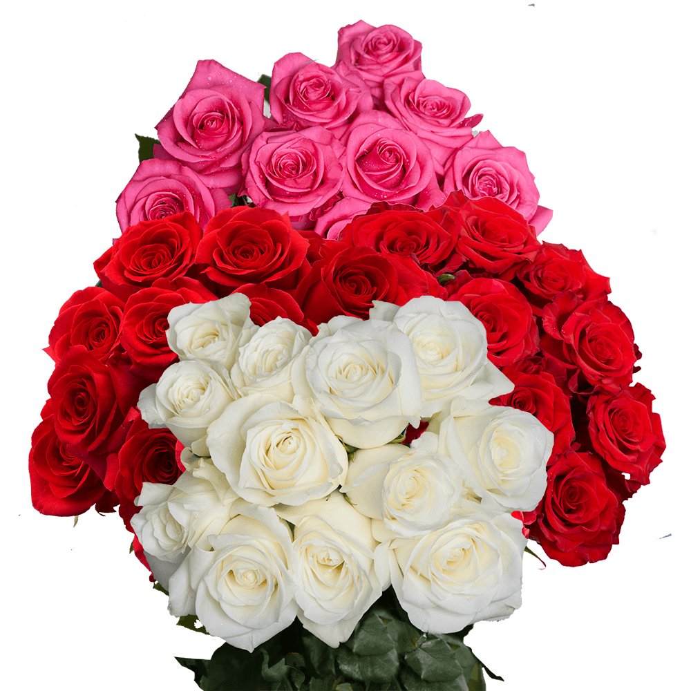 Birthday Flowers 50 Two Different Colors Roses