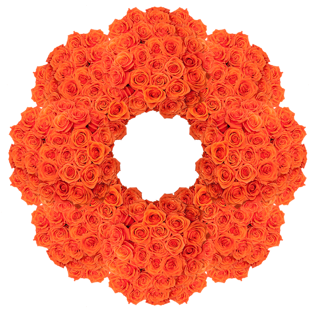 Bright Orange Cayenne Roses Wholesale to the Public