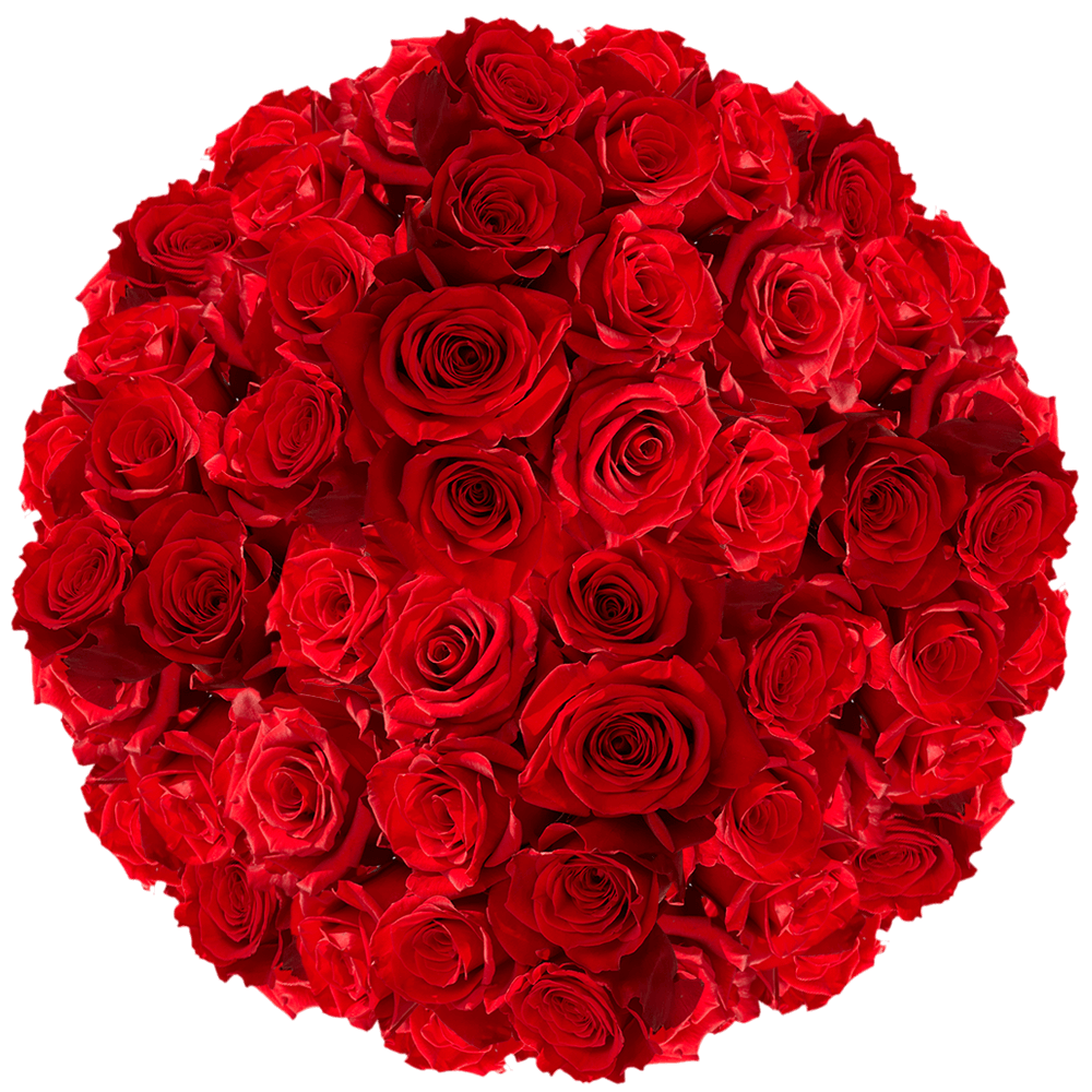 Buy Red Roses