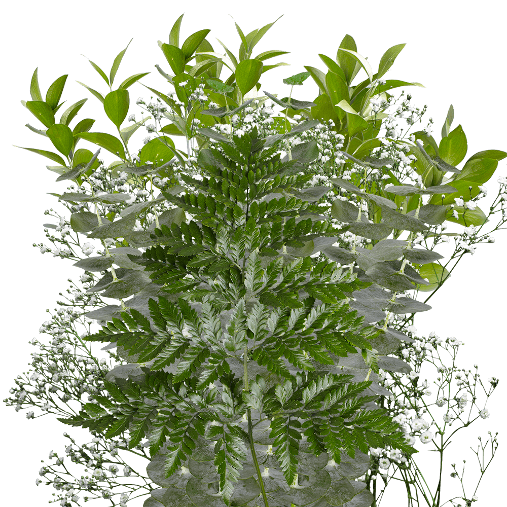 Floral Bouquets Greenery Wholesale Filler Flowers for Bouquets