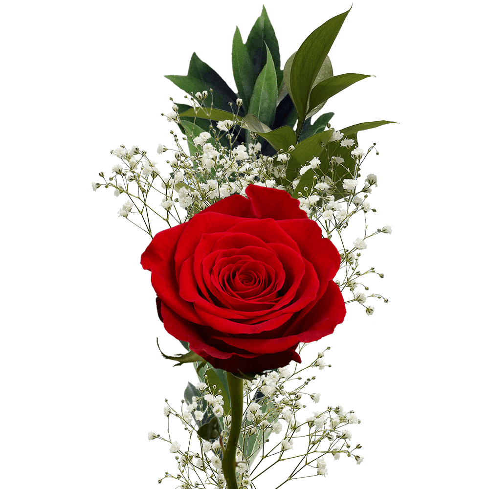 Flower Fundraiser Bouquets Single Roses with Fillers