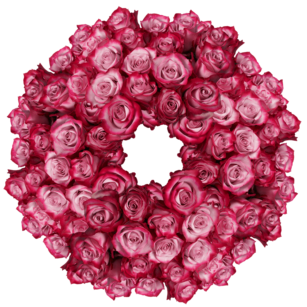 Fresh Deep Purple Roses
