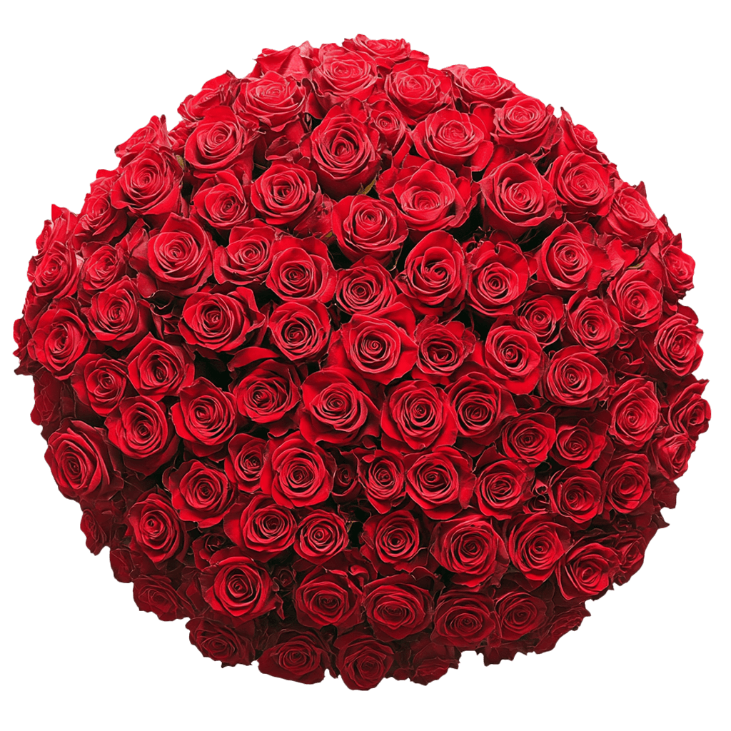 Freshest Valentine's Day Roses
