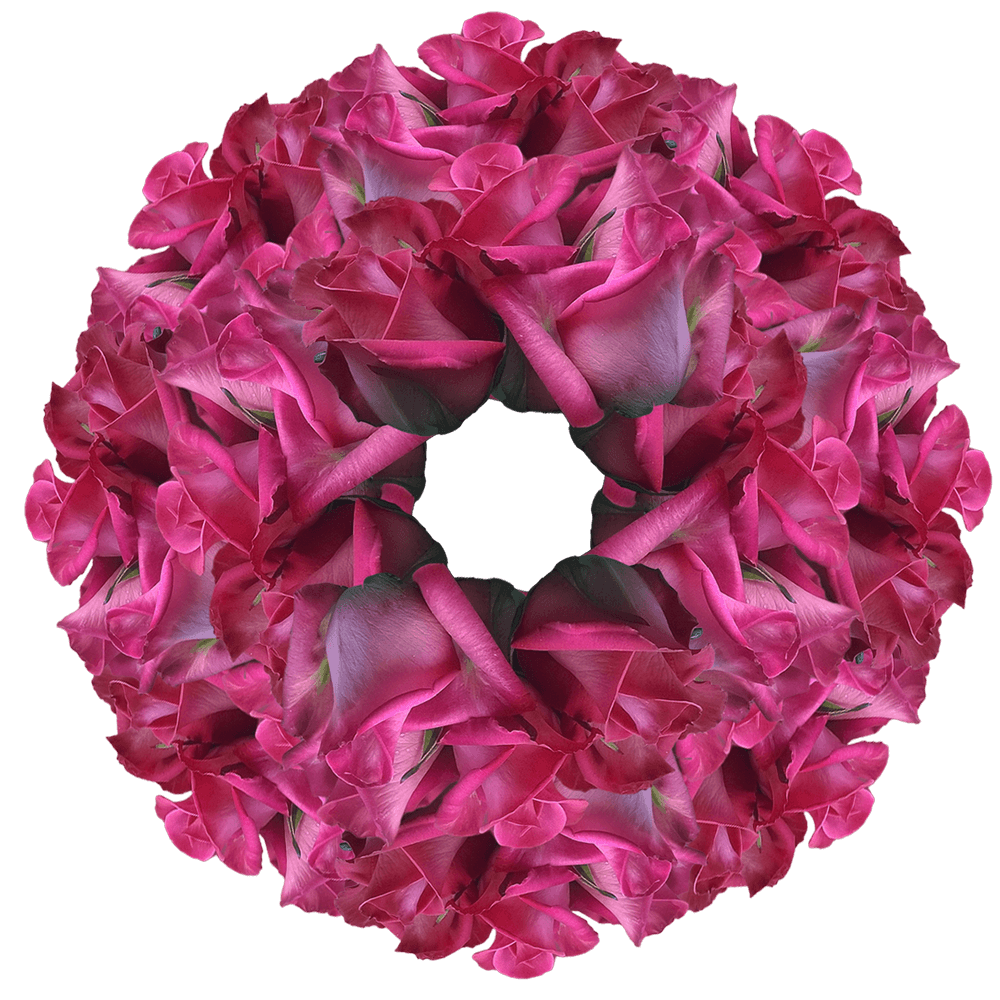 Hot Pink Roses Wholesale Bulk Pink Roses Wedding Centerpieces