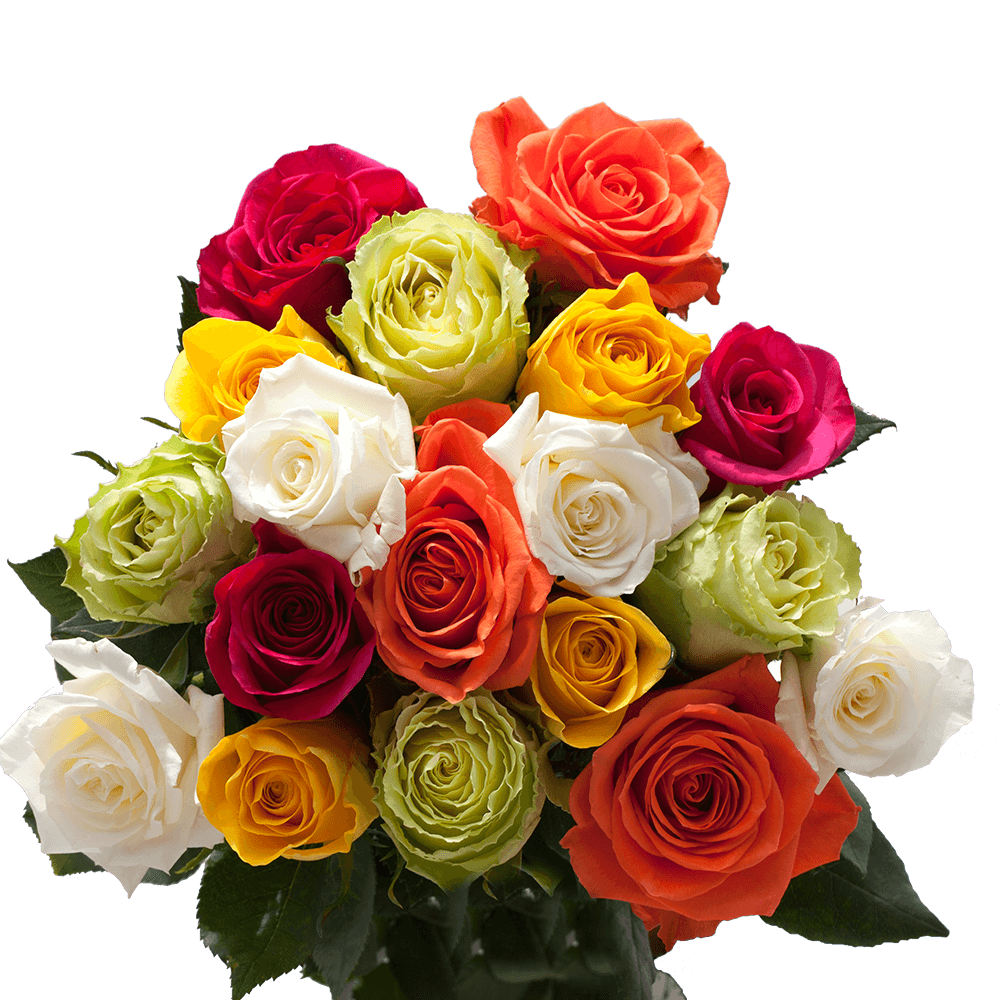 Mother's Day Roses Delivery