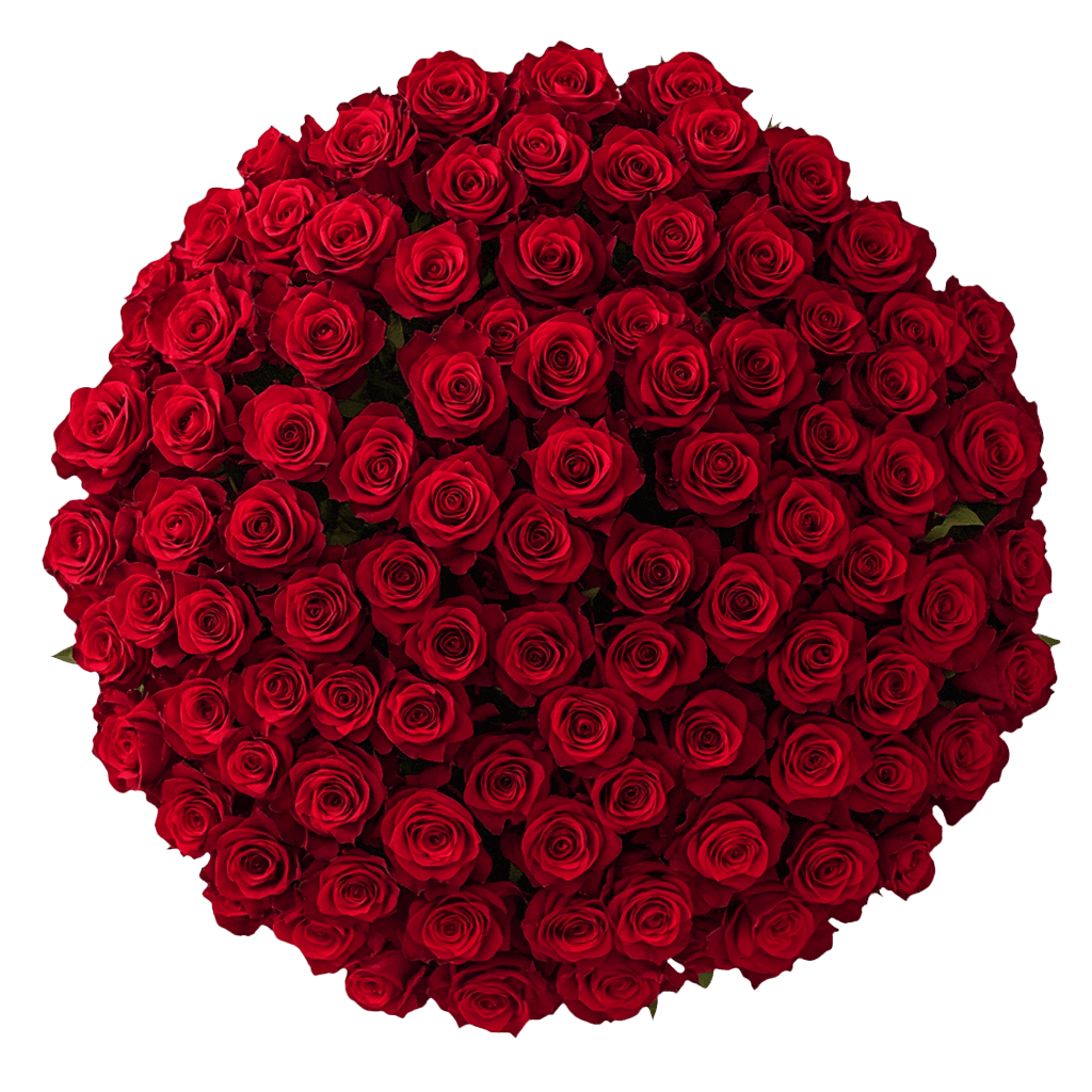 Mother's Day Roses Red Blooms