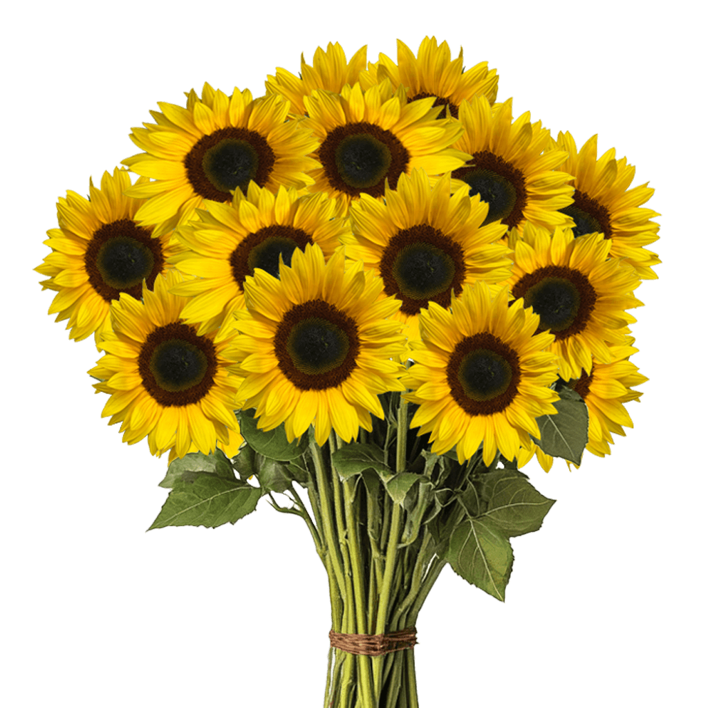 Online Flowers sunflowers For Sale