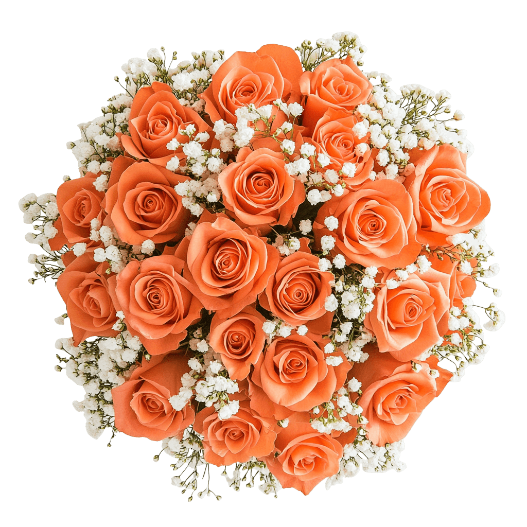 Orange Rose Bouquets 24 Roses Flowers for Valentine's