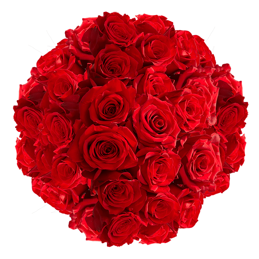 Red Rose Delivery