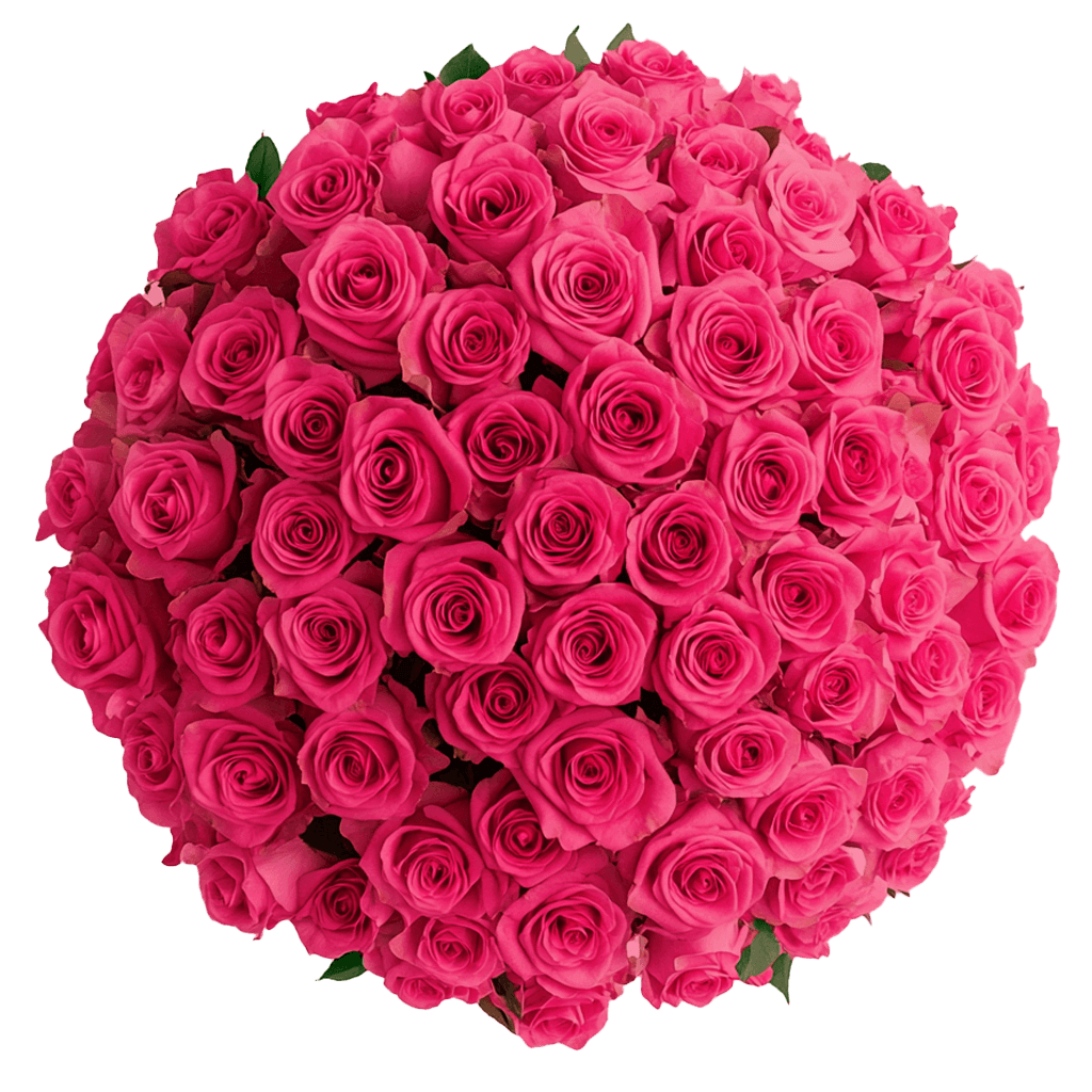 Roses For Mother's Day Pink Blooms