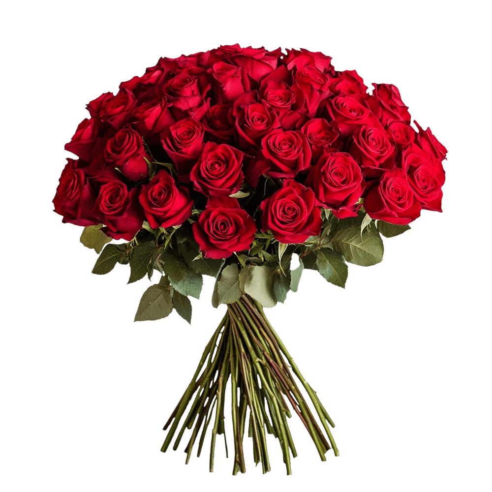 Roses Overnight