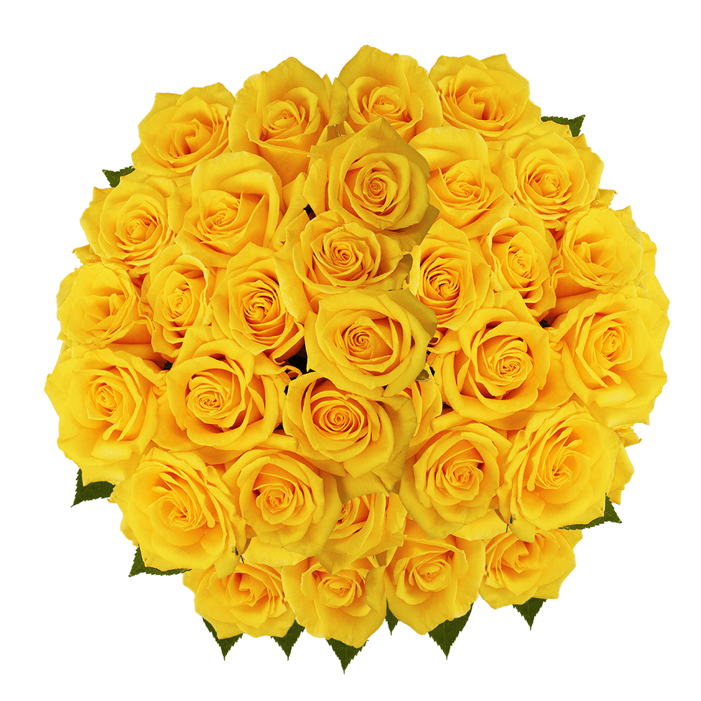Stunning Gold Roses Delivered